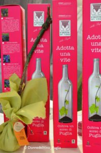 Adottaunavite-Donne-del-vino-Puglia-Vinitaly-2017