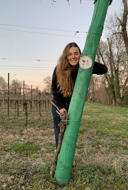 “Vite è Vita” festa delle Donne del Vino Veneto marzo 2021